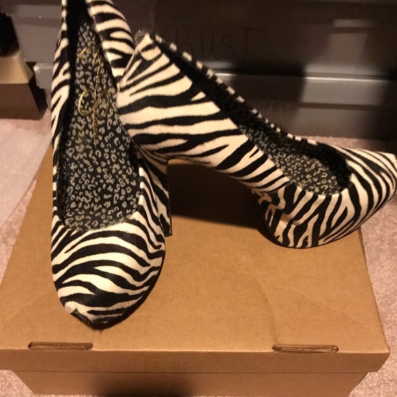 Zebra 🦓 - Picture 3 of 4